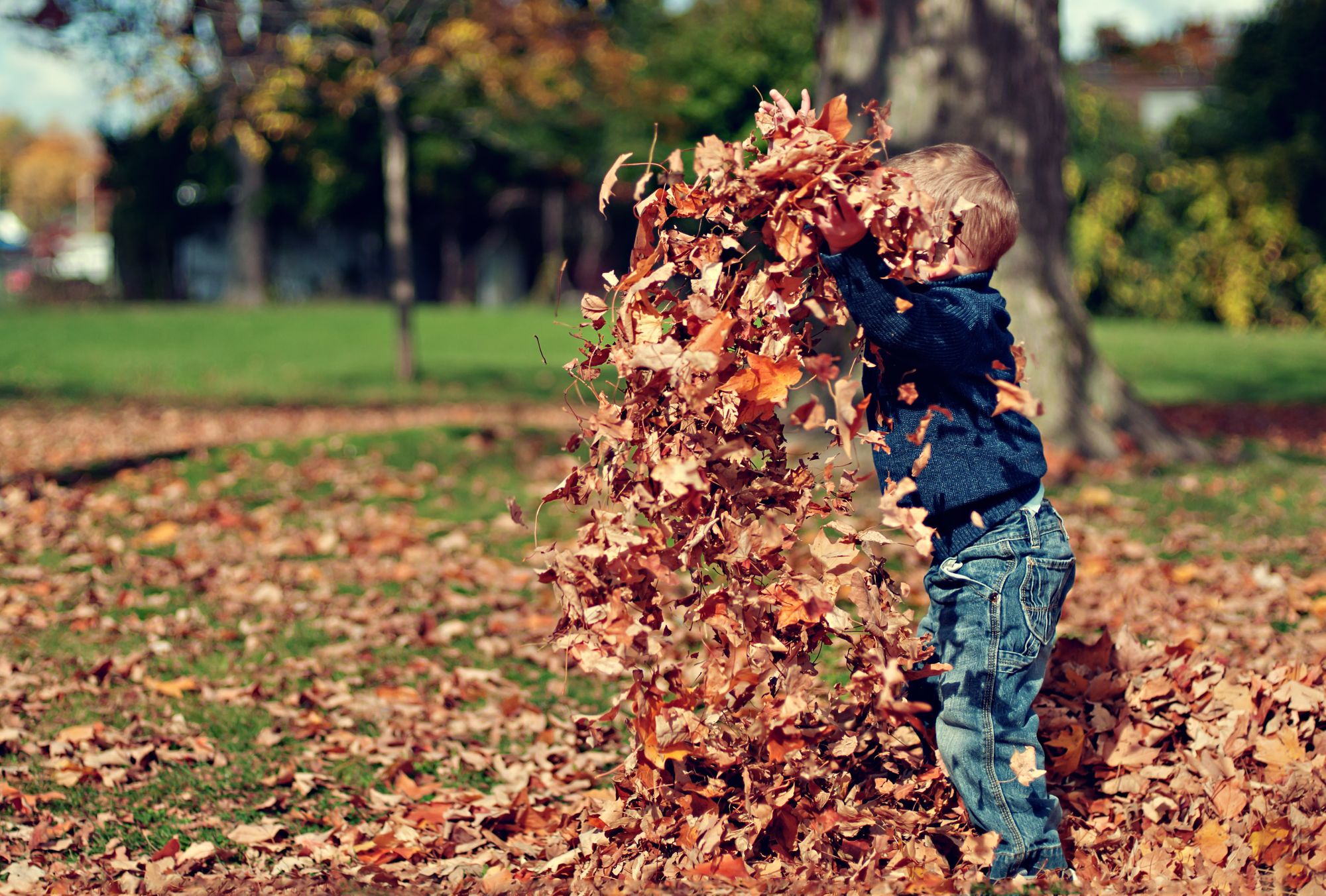 Fall Vocabulary Speech Therapy Activities