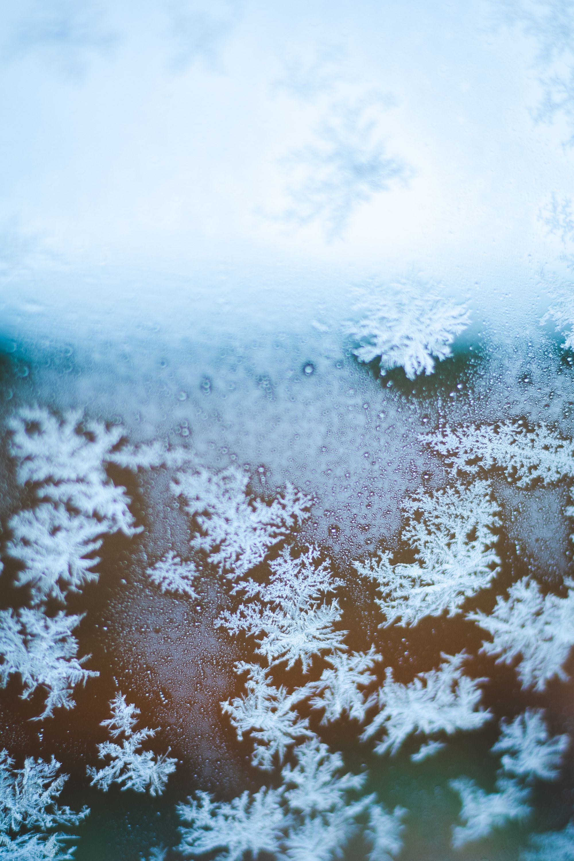 Christmas and Hanukkah Activities for Language and Communication