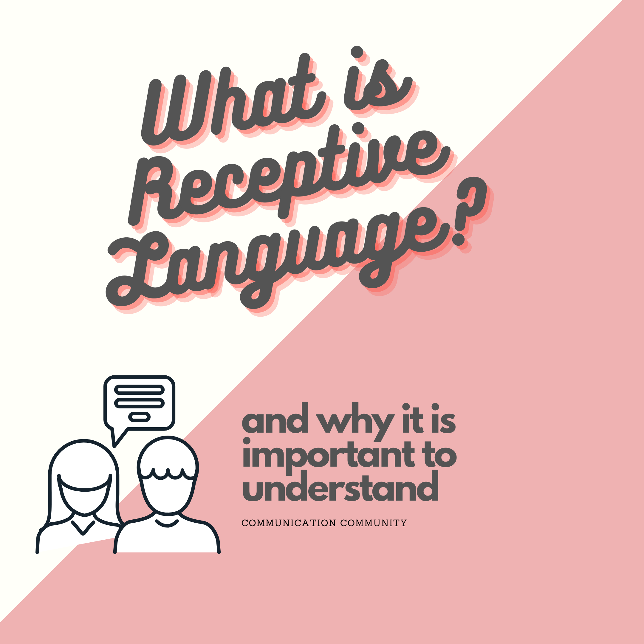 What is Receptive Language?