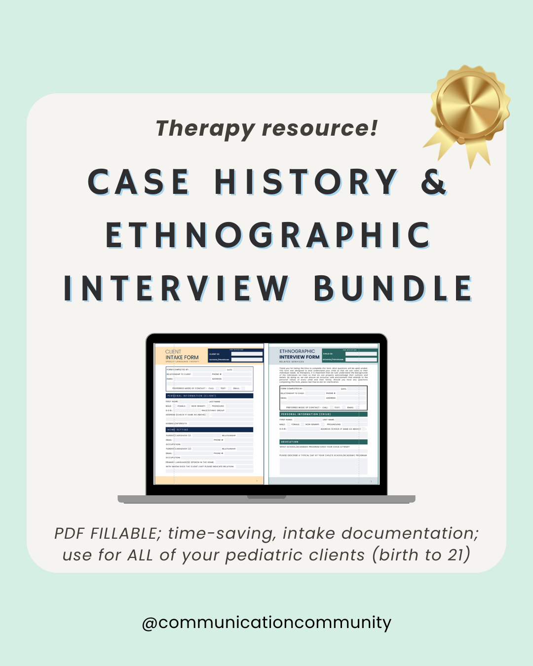 Case History and Ethnographic Interview BUNDLE for Speech Therapy: FILLABLE PDFs